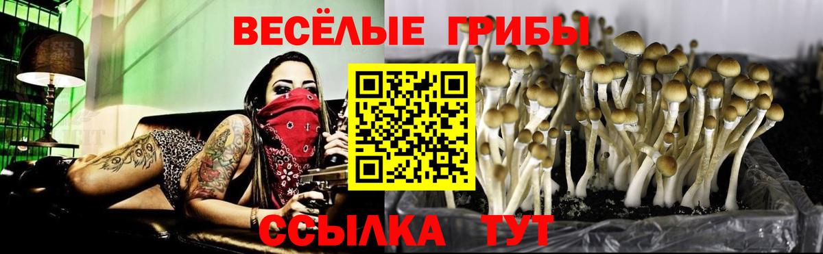 Усть-Илимск  Псилоцибиновые грибы прущие грибы  Вход с VPN 