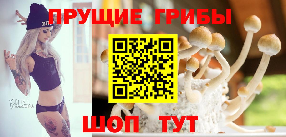 Псилоцибиновые грибы MAGIC MUSHROOMS Усть-Илимск